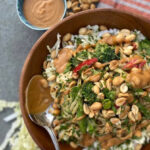 Chinese Chicken Salad with Peanut Dressing - Pamela Morgan